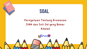 Pernyataan Tentang Kromosom Dna Dan Inti Sel Yang Benar Adalah