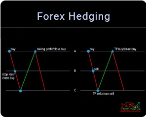 Forex Hedging Strategy