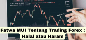 Fatwa MUI tentang Trading Forex