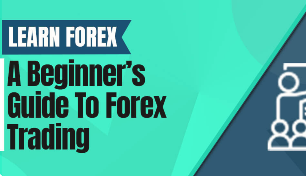 guide for forex trading