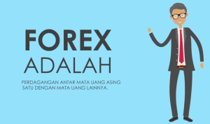 Trading Forex Itu Apa