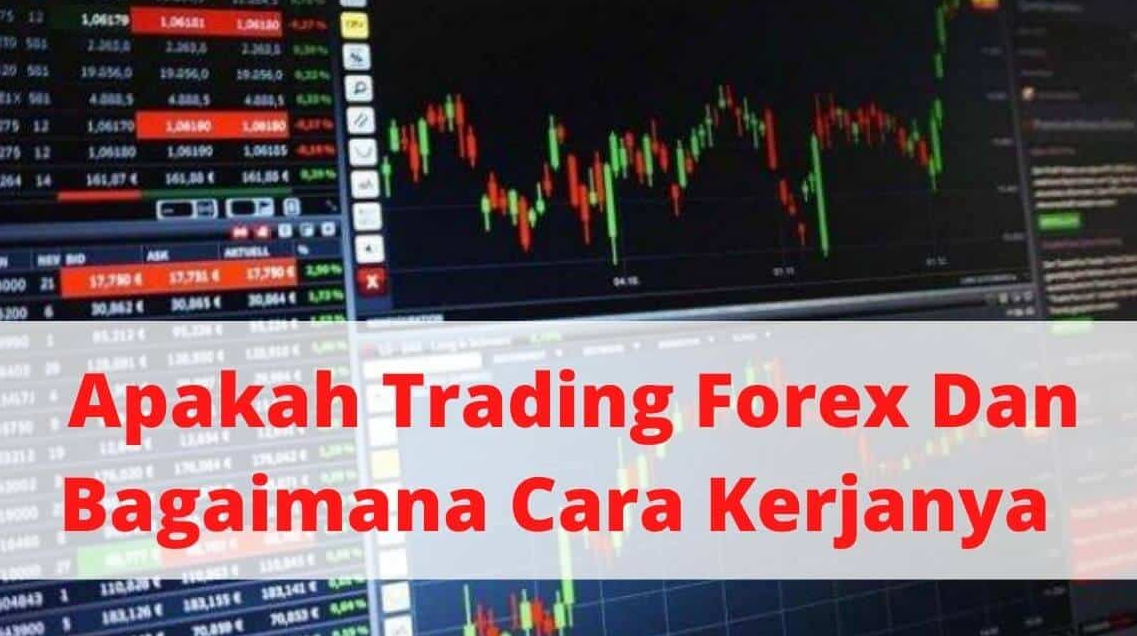 cara kerja trading forex