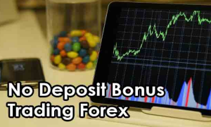 all forex no deposit bonus