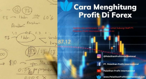 Cara Menghitung Forex