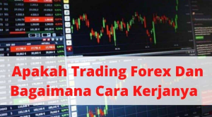 Bagaimana Cara Kerja Trading Forex