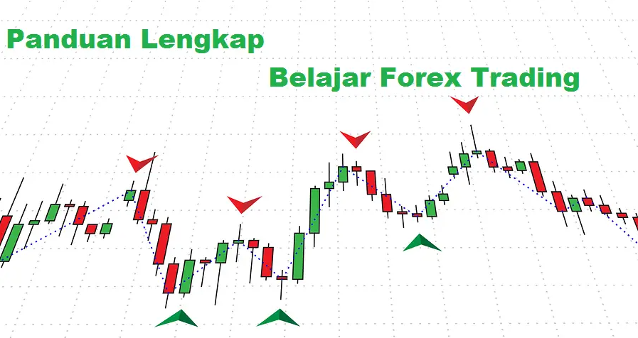 Panduan Trading Forex