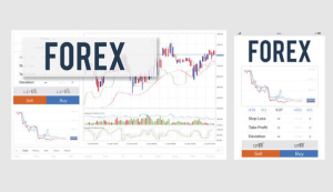 Broker Forex yang Aman