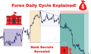 Forex Daily