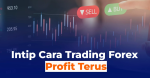 Cara Trading Forex Pasti Profit