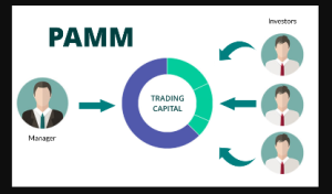 PAMM Forex