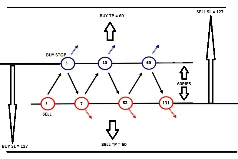 Hedging Forex