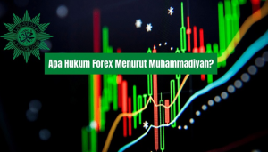 Hukum Forex Menurut Muhammadiyah