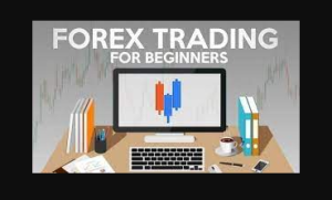 Training Forex