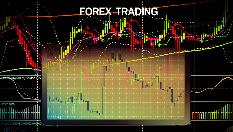 Forex Trader