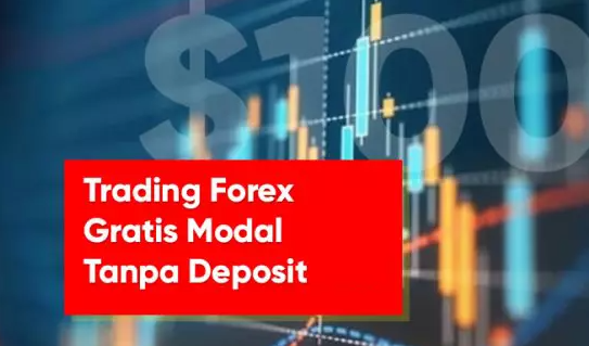 Trading Forex Gratis Tanpa Deposit