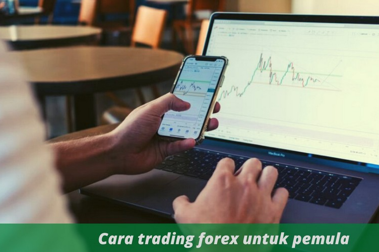 Forex Untuk Pemula