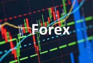 Melakukan Review Trading Forex