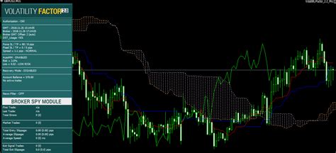 Cara Menggunakan VPS Forex