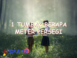 1 tumbak berapa meter persegi 29471