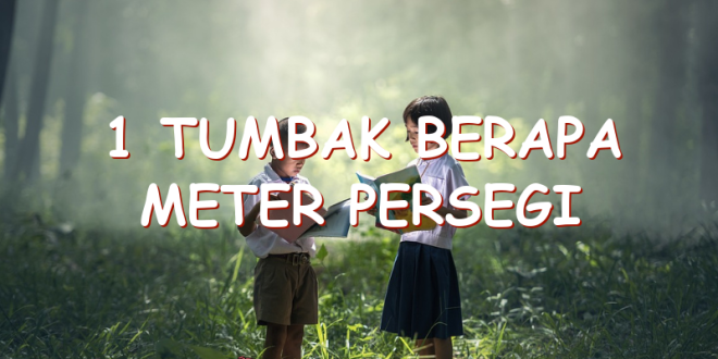 1-tumbak-berapa-meter-persegi-uspace-id