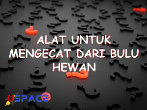 alat untuk mengecat dari bulu hewan 29252