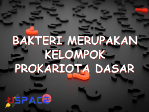 bakteri merupakan kelompok prokariota dasar pengelompokan tersebut adalah 29415