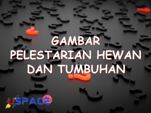 gambar pelestarian hewan dan tumbuhan 29174