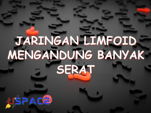 jaringan limfoid mengandung banyak serat 29344