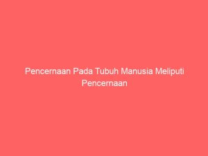 pencernaan pada tubuh manusia meliputi pencernaan 2331