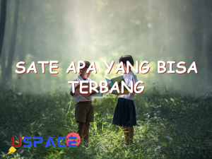 sate apa yang bisa terbang 29411