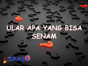 ular apa yang bisa senam 29109