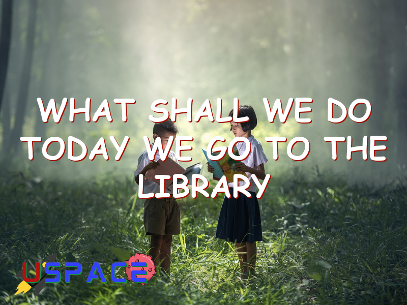 what shall we do today we go to the library 29425