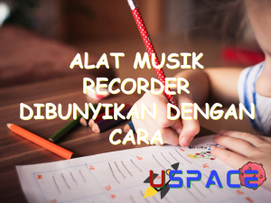 alat musik recorder dibunyikan dengan cara 30015