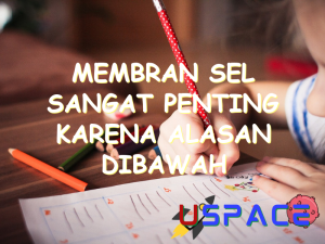 membran sel sangat penting karena alasan dibawah ini kecuali 30754