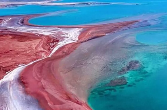 Fakta Menarik Laut Merah