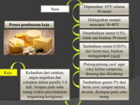 Proses Fermentasi dalam Bidang Teknologi Pangan