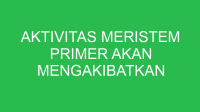 aktivitas meristem primer akan mengakibatkan 32827