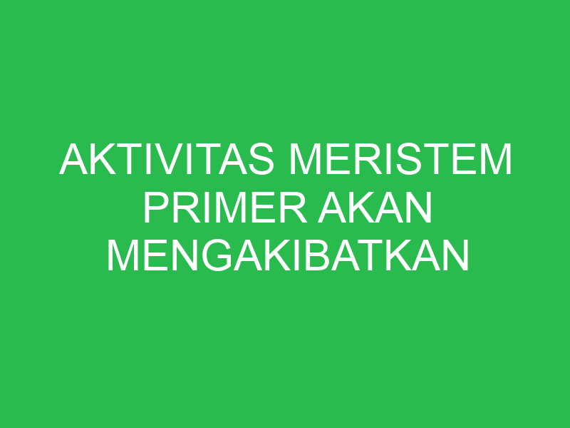 aktivitas meristem primer akan mengakibatkan 32827