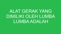 alat gerak yang dimiliki oleh lumba lumba adalah 32660