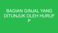 bagian ginjal yang ditunjuk oleh huruf p berfungsi untuk proses 32779