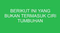 berikut ini yang bukan termasuk ciri tumbuhan dikotil adalah 32756