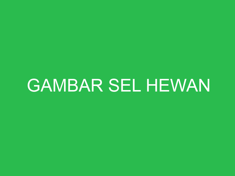 gambar sel hewan 32625