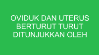 oviduk dan uterus berturut turut ditunjukkan oleh gambar nomor 32626