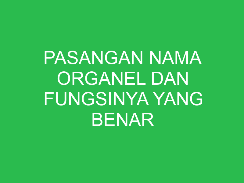 pasangan nama organel dan fungsinya yang benar adalah 32816