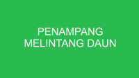 penampang melintang daun 32679