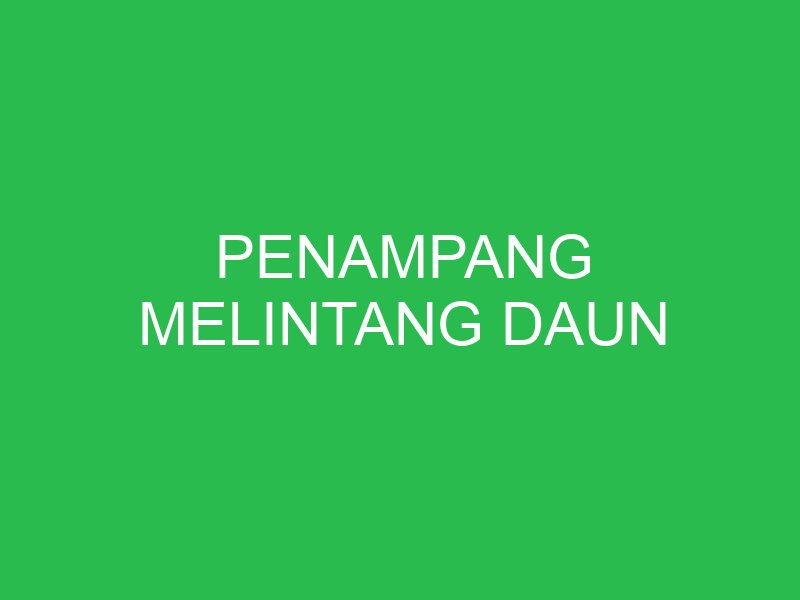 penampang melintang daun 32679