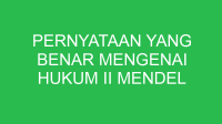 pernyataan yang benar mengenai hukum ii mendel adalah 32630