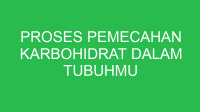 proses pemecahan karbohidrat dalam tubuhmu terjadi pada 32806