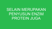 selain merupakan penyusun enzim protein juga berfungsi dalam 32655