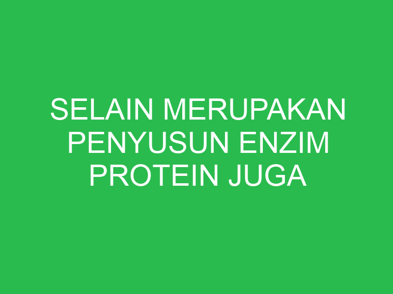 selain merupakan penyusun enzim protein juga berfungsi dalam 32655